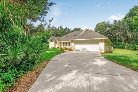 House in Port Orange, Florida 3 bedrooms, 210.52 sq.m. № 2302657