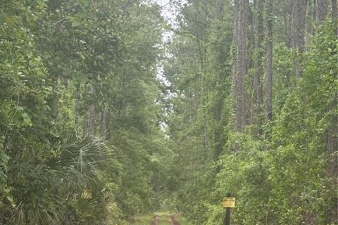 Land in DeLand, Florida № 2195854