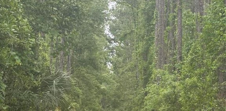 Terreno en DeLand, Florida № 2195854