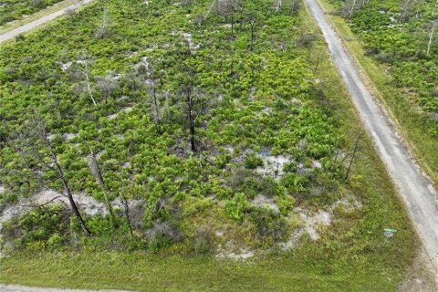 Land in Lake Placid, Florida № 2205281 - photo 3