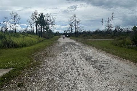 Land in Lake Placid, Florida № 2205281 - photo 4