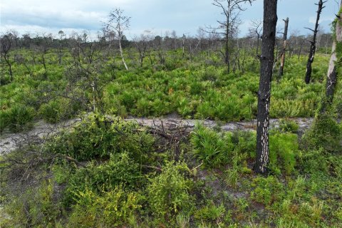 Land in Lake Placid, Florida № 2205281