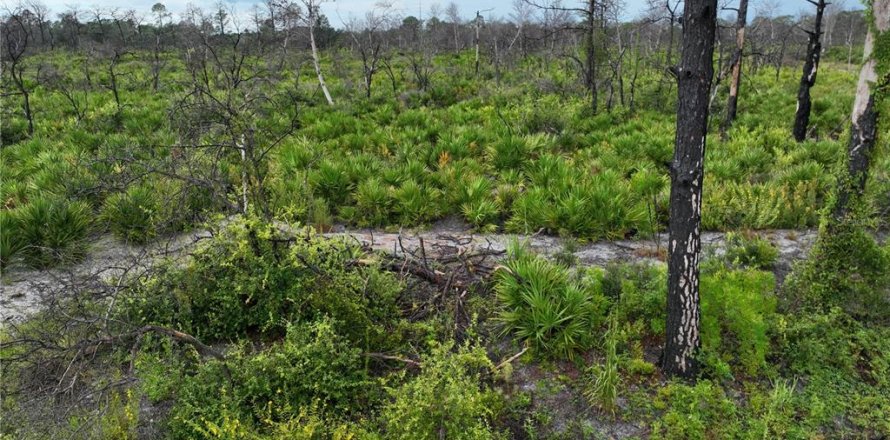 Land in Lake Placid, Florida № 2205281