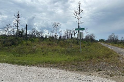 Land in Lake Placid, Florida № 2205281 - photo 2
