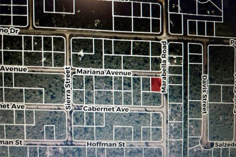 Land in Lake Placid, Florida № 2205281 - photo 5