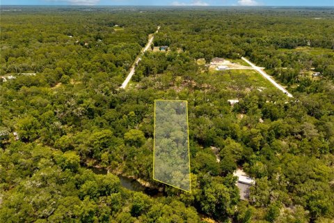 Terrain à vendre à Webster, Floride № 2233835 - photo 3