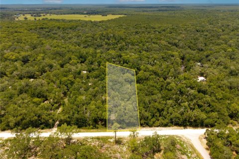 Land in Webster, Florida № 2233835