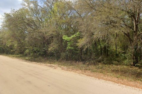 Terrain à vendre à Interlachen, Floride № 2223881 - photo 4