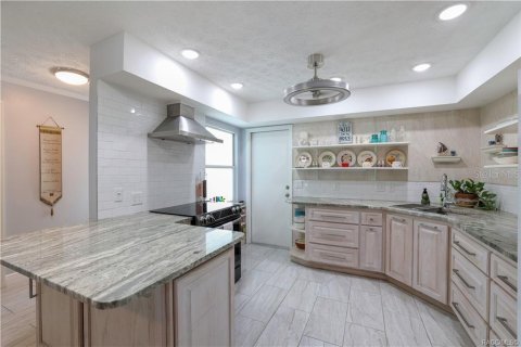 Casa en venta en Inverness, Florida, 2 dormitorios, 119.29 m2 № 1914376 - foto 4