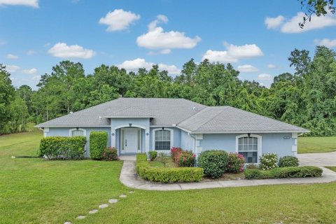 Villa ou maison à vendre à DeLand, Floride: 3 chambres, 199.18 m2 № 2308544 - photo 2