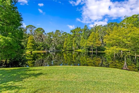 House in Tampa, Florida 4 bedrooms, 292.55 sq.m. № 1885205 - photo 4