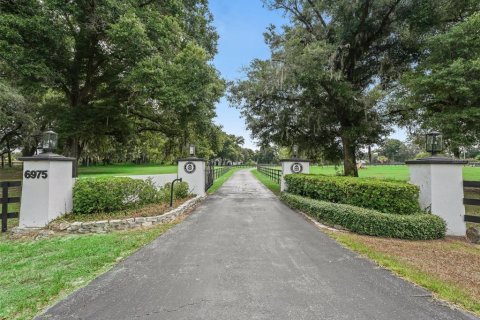 Villa ou maison à louer à Ocala, Floride: 4 chambres, 297.29 m2 № 1246959 - photo 3