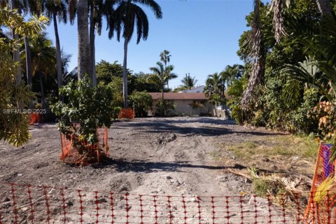 Land in Miami, Florida № 1987201 - photo 5