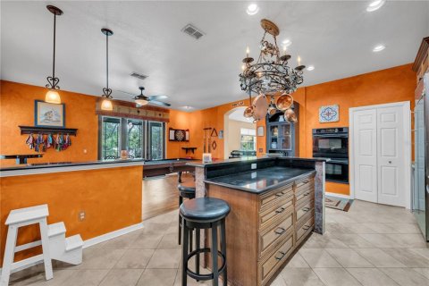 House in Plant City, Florida 4 bedrooms, 293.29 sq.m. № 1725466 - photo 14
