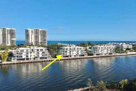 Condo à Hollywood, Floride, 2 chambres  № 2407727
