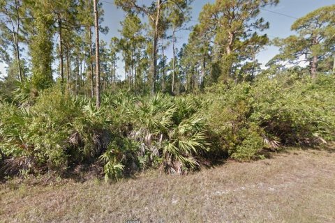 Land in Punta Gorda, Florida № 2165386 - photo 3