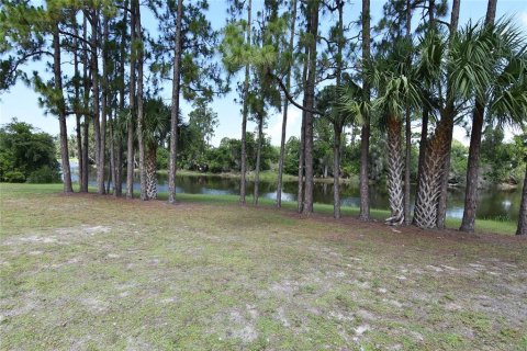 Land in Punta Gorda, Florida № 2165386 - photo 9