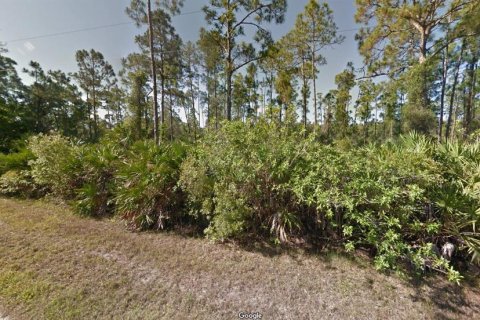 Land in Punta Gorda, Florida № 2165386 - photo 2