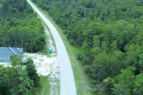 Land in Lehigh Acres, Florida № 2165151 - photo 2