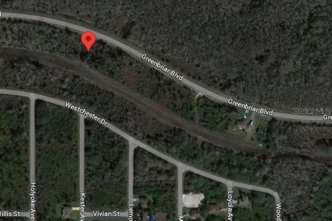 Land in Lehigh Acres, Florida № 2165151 - photo 3