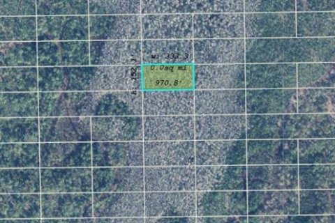 Land in Orlando, Florida № 2163611 - photo 2