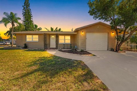 Villa ou maison à Holiday, Floride 3 chambres, 147.25 m2 № 2433263