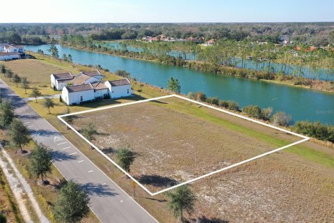 Land in Clermont, Florida № 1536236 - photo 2