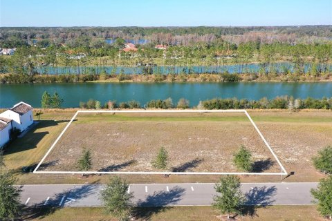 Land in Clermont, Florida № 1536236 - photo 3