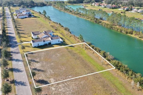 Land in Clermont, Florida № 1536236 - photo 5