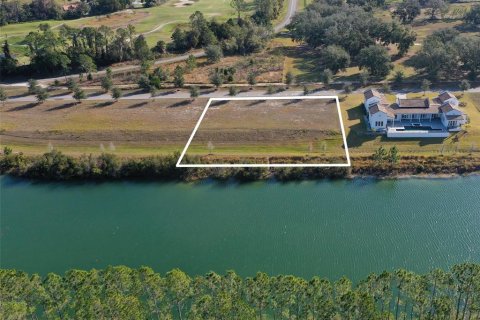Land in Clermont, Florida № 1536236 - photo 6