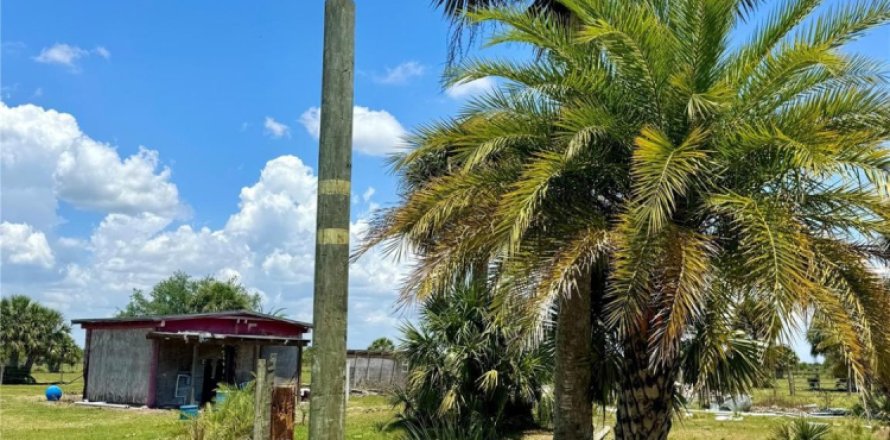 Terreno en Okeechobee, Florida № 1177250