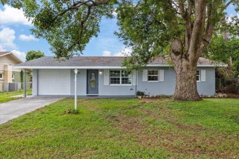 Villa ou maison à Zephyrhills, Floride 2 chambres, 116.69 m2 № 2314226