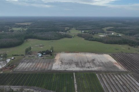 Land in Clermont, Florida № 1564974 - photo 9
