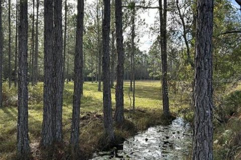 Land in Clermont, Florida № 1564974 - photo 6