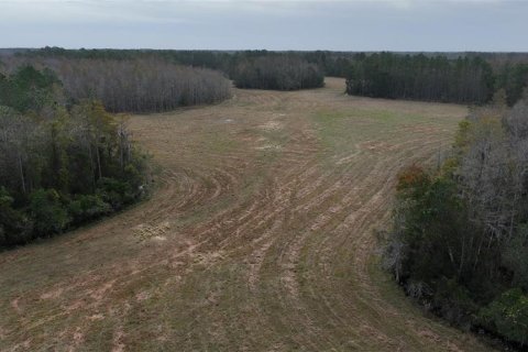 Land in Clermont, Florida № 1564974 - photo 8