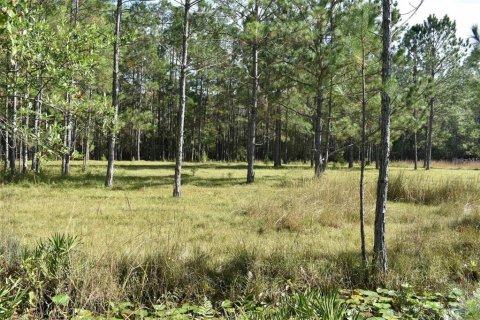 Land in Clermont, Florida № 1564974 - photo 11