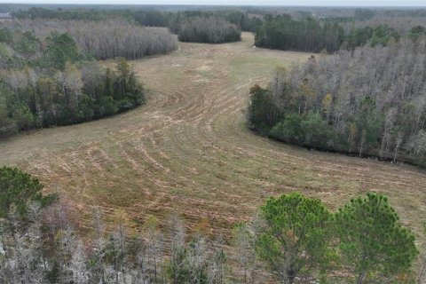 Land in Clermont, Florida № 1564974 - photo 7