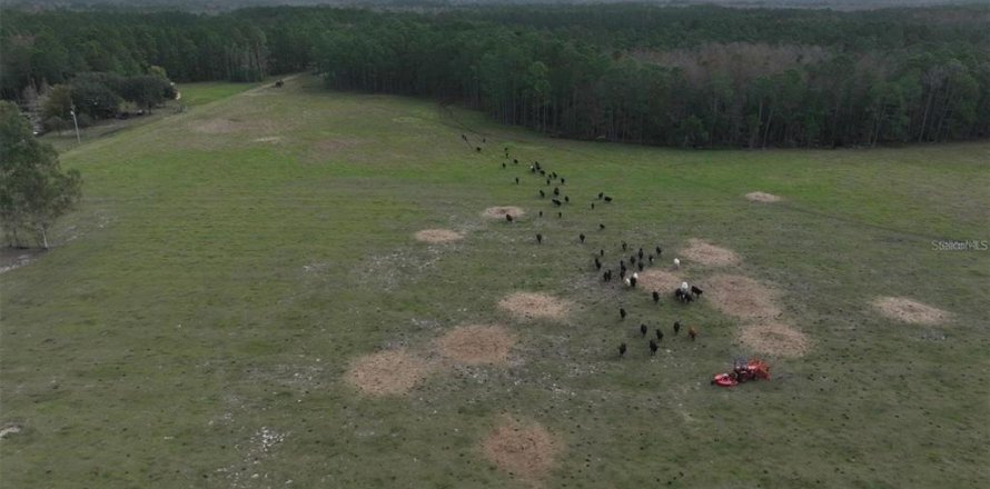 Land in Clermont, Florida № 1564974
