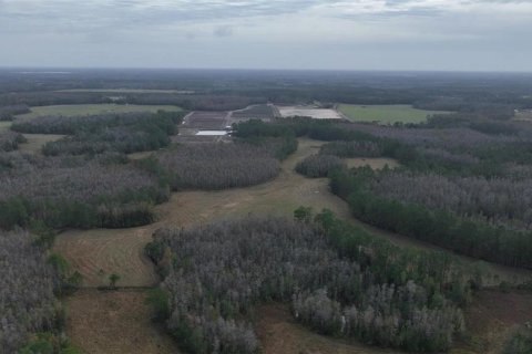 Land in Clermont, Florida № 1564974 - photo 15