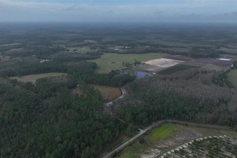 Land in Clermont, Florida № 1564974 - photo 3