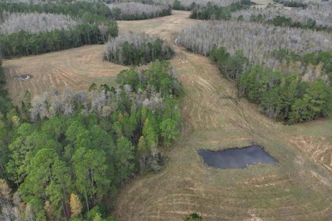 Land in Clermont, Florida № 1564974 - photo 4