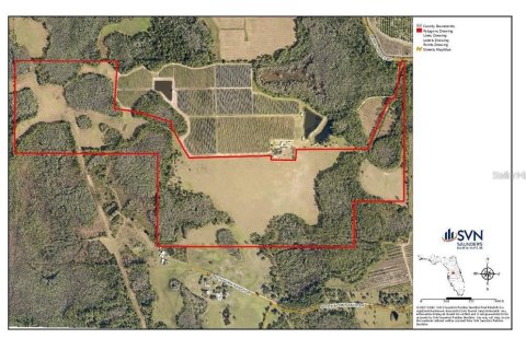 Land in Clermont, Florida № 1564974 - photo 18