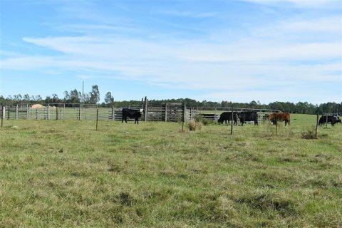 Land in Clermont, Florida № 1564974 - photo 14