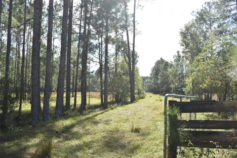 Land in Clermont, Florida № 1564974 - photo 10