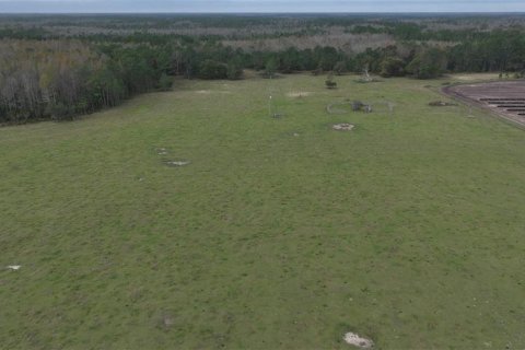 Land in Clermont, Florida № 1564974 - photo 2