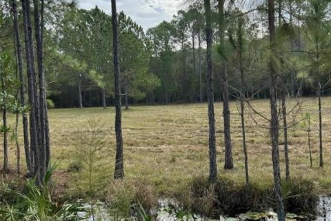 Land in Clermont, Florida № 1564974 - photo 5