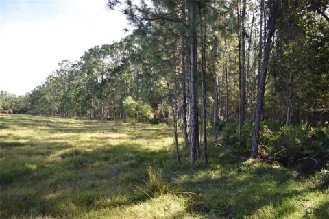 Land in Clermont, Florida № 1564974 - photo 12