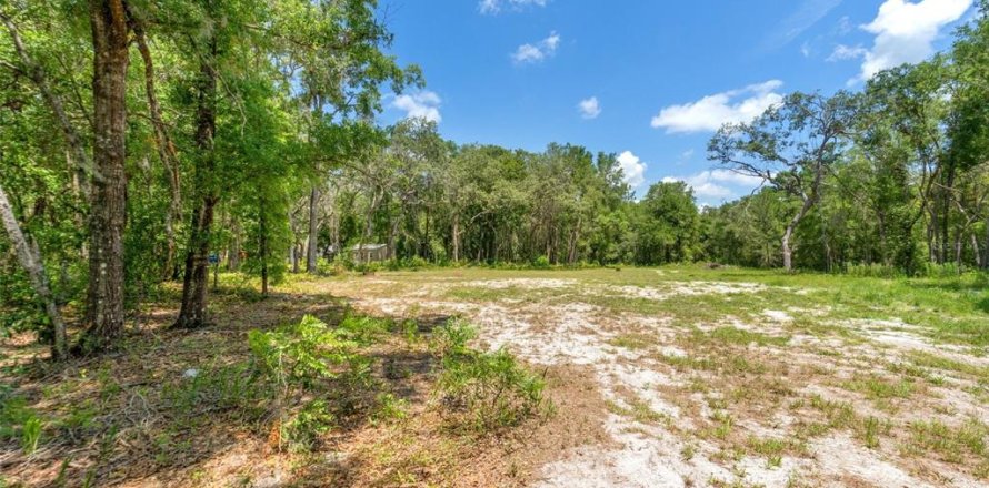 Terrain à Dunnellon, Floride № 1789386