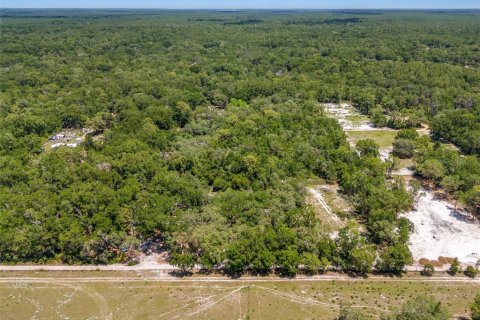 Terrain à vendre à Dunnellon, Floride № 1789386 - photo 7