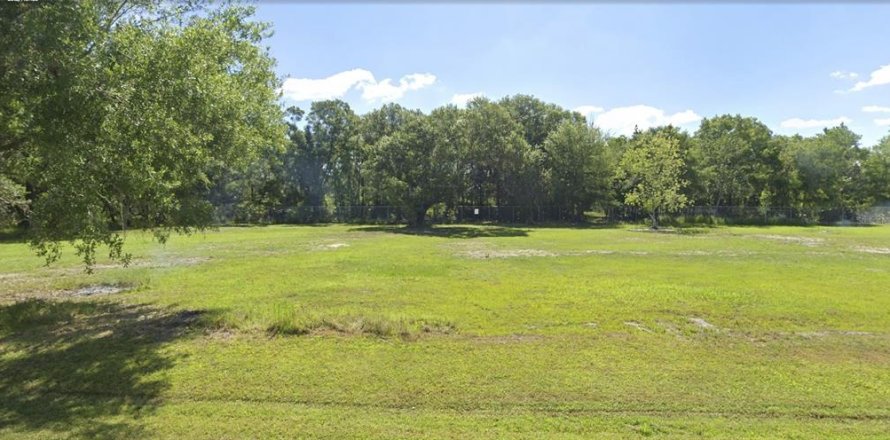 Land in Lutz, Florida № 1634213